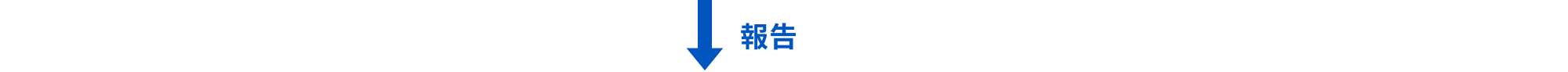 報告
